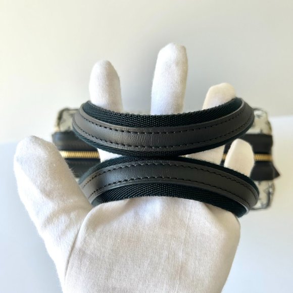 LV Mini Lin Josephine Boston Bag PM - Picture 8 of 12